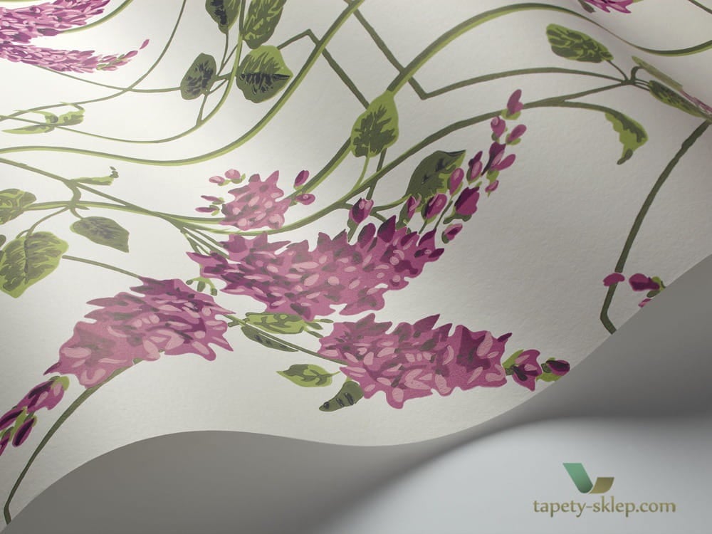 Tapeta z roślinnym wzorem Cole&Son Wisteria 115/5013 Botanical Botanica