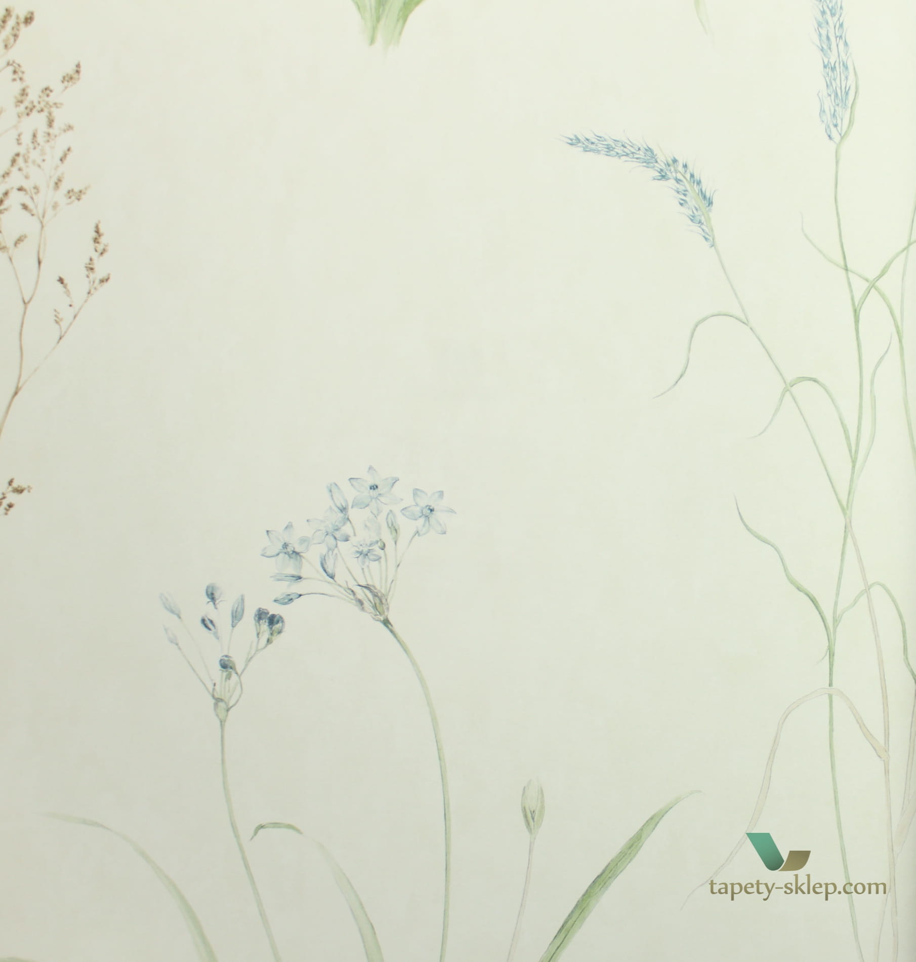 Tapeta łąka Sanderson 216486 Farne Grasses