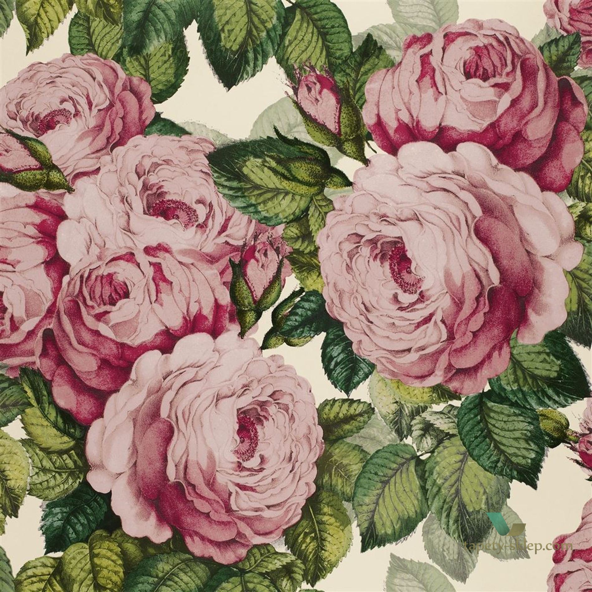 Tapeta John Derian PJD6002/02 Picture Book