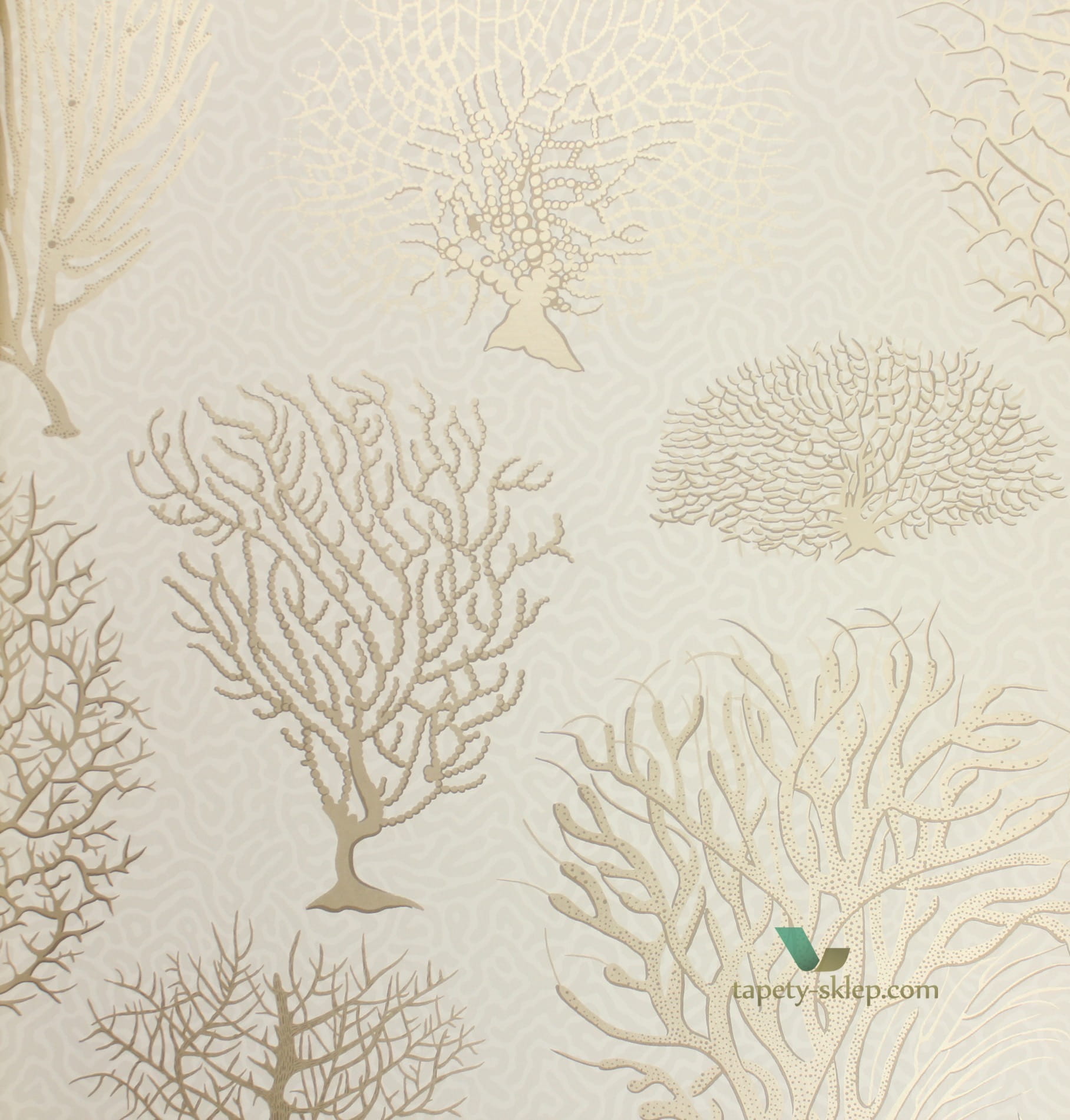 Tapeta Cole & Son 107/2010 Seafern Curio