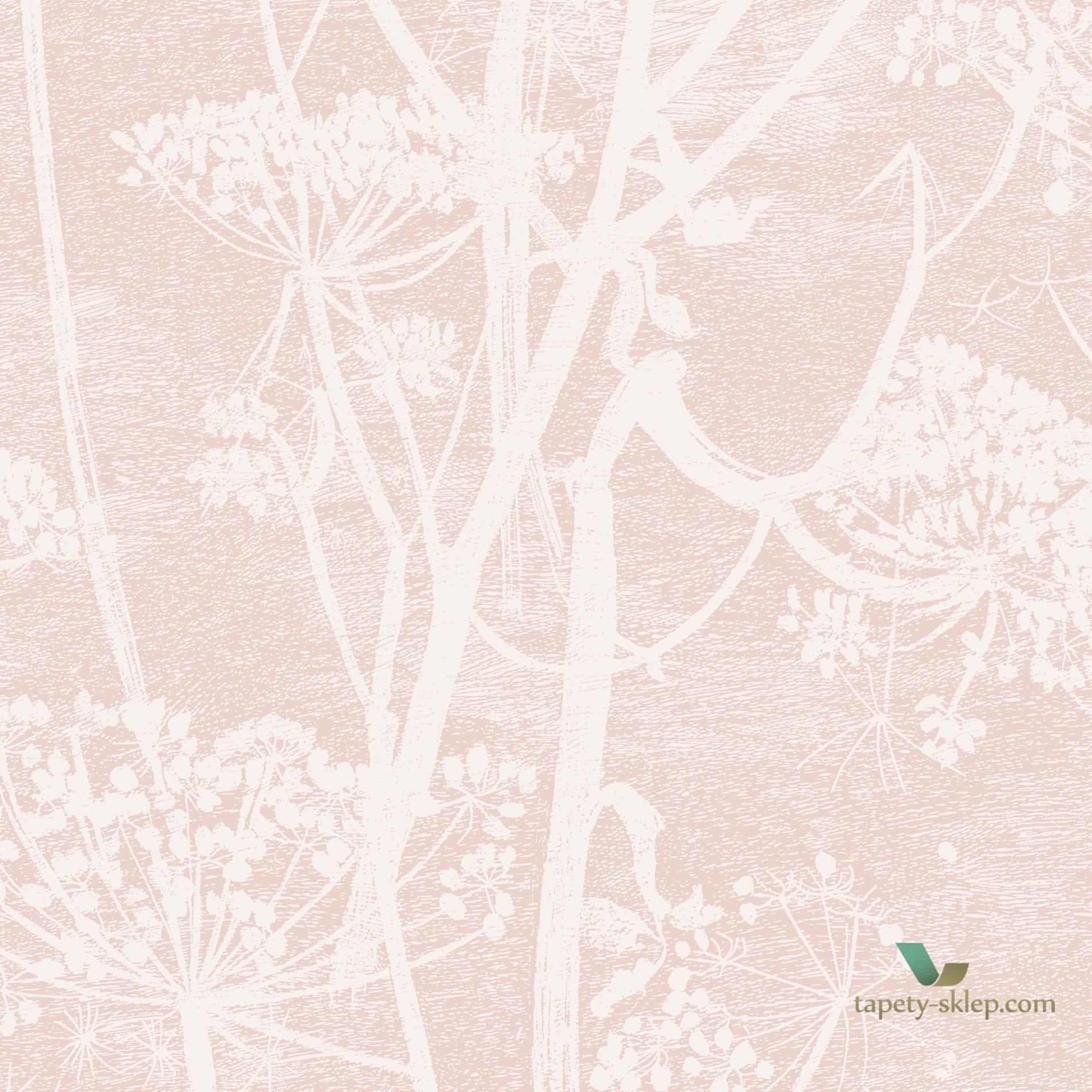 Tapeta Cole & Son Icons 112/8028 Cow Parsley