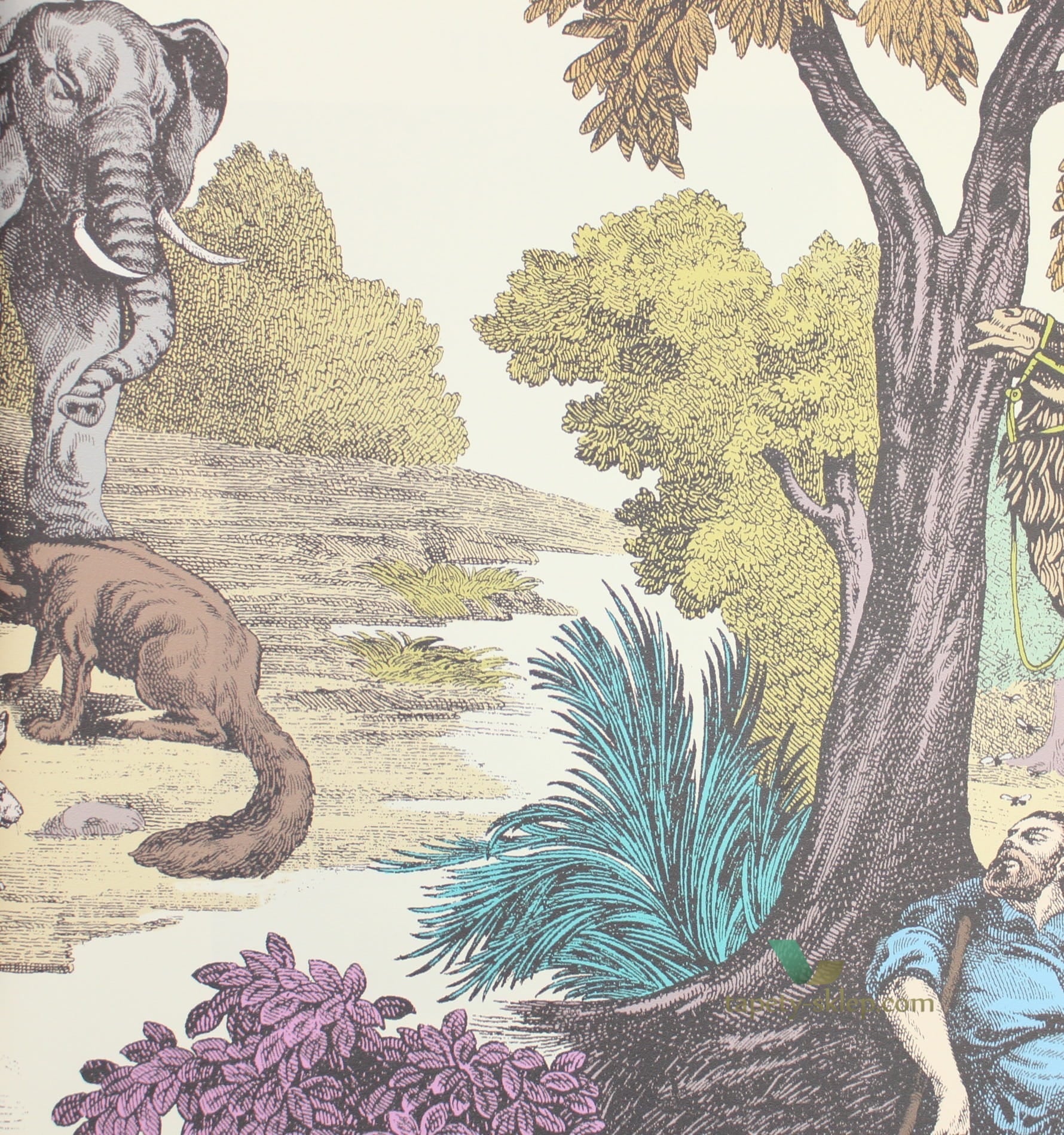 Tapeta Cole and Son 99/16065 Folie Cena za 2 rol