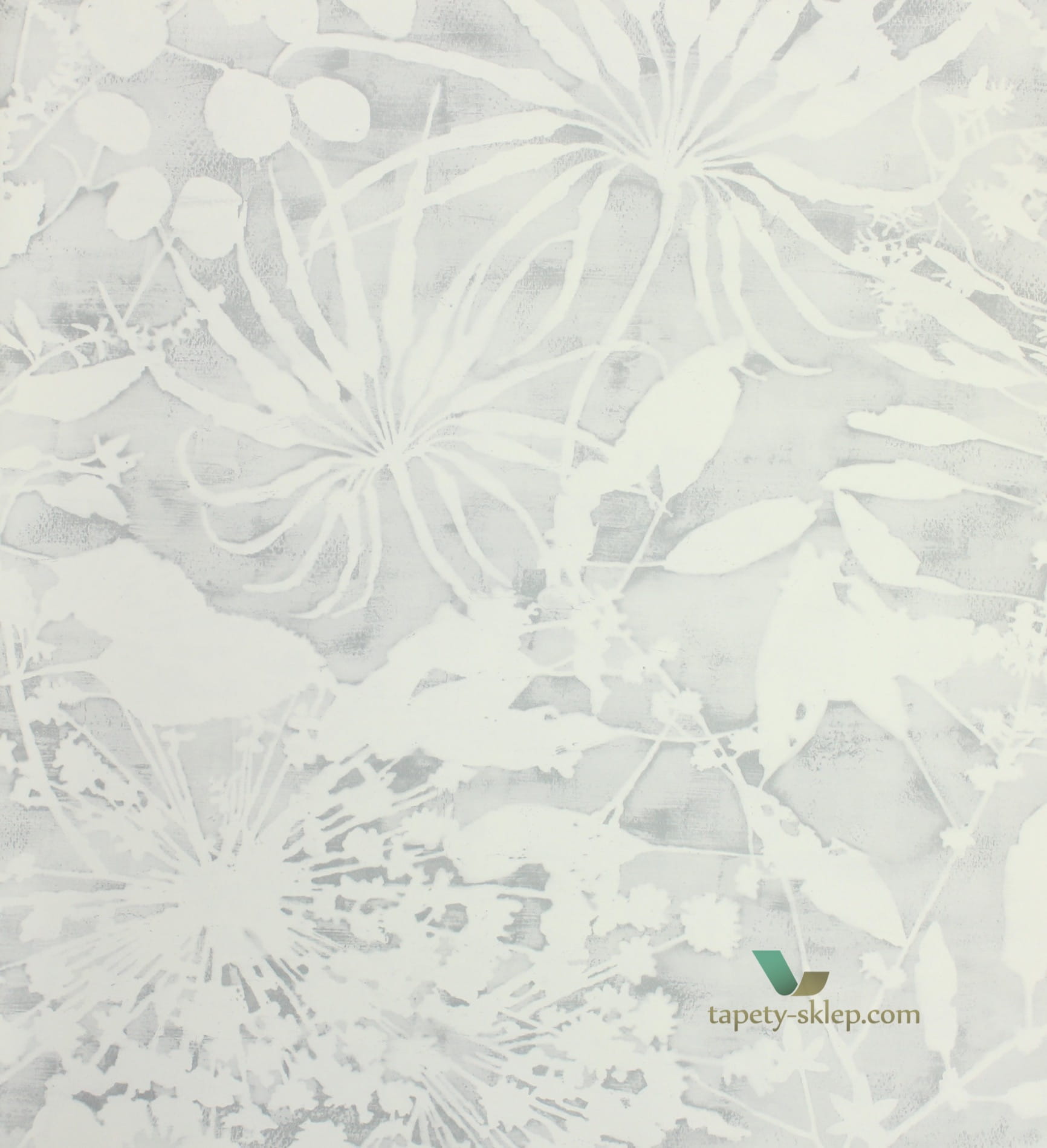 Tapeta Harlequin 111639 Coralline Anthozoa