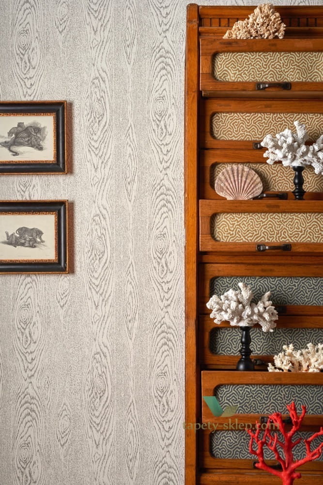 Tapeta Cole & Son 107/10048 Wood Grain Curio