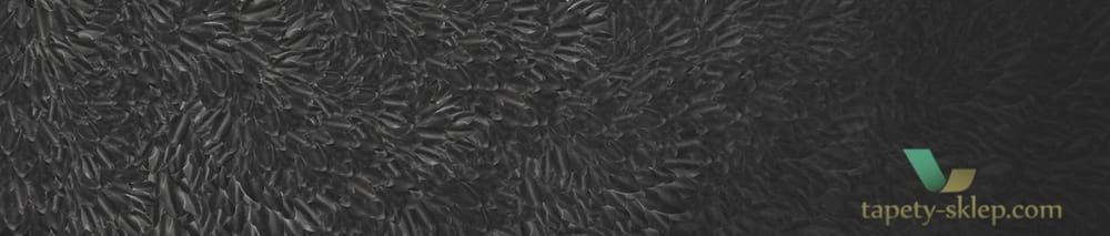 Fototapeta Wall&Deco The dark side WDDS1701 Contemporary 2017