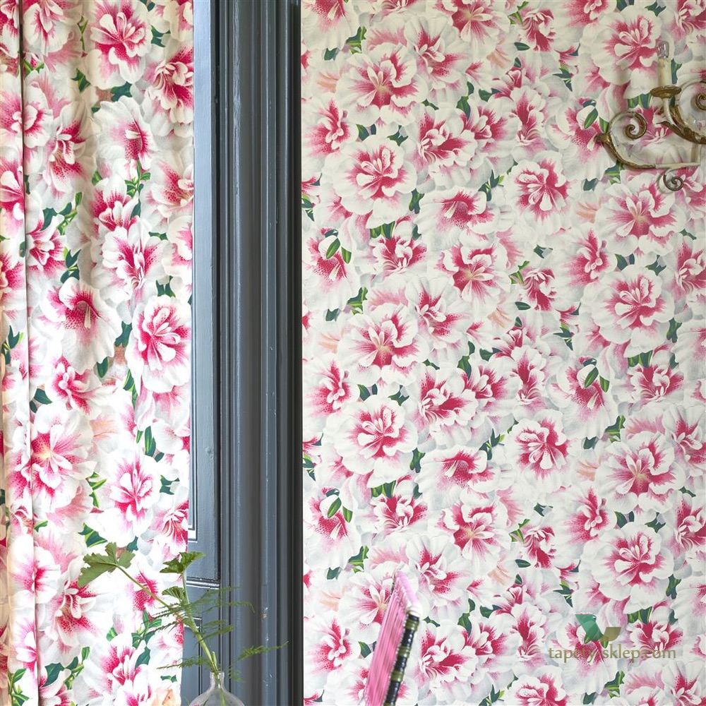 Tapeta John Derian PJD6004/01 Picture Book
