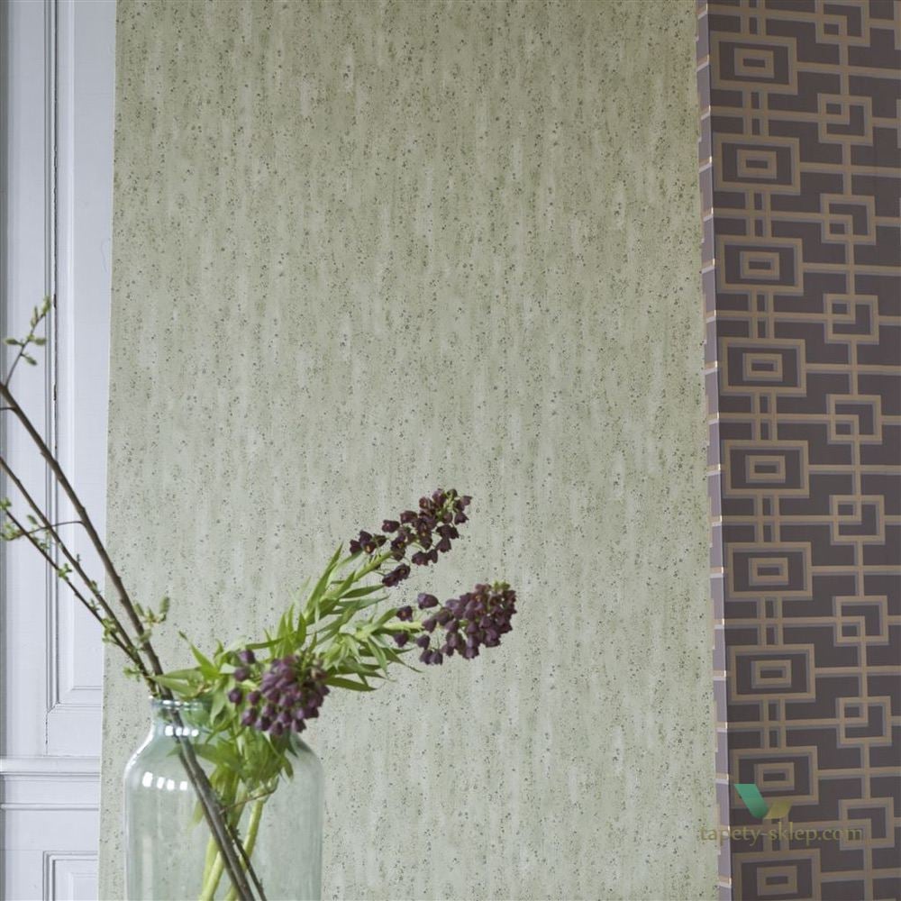Tapeta Designers Guild PDG1063/09 Shirakawa Zardozi