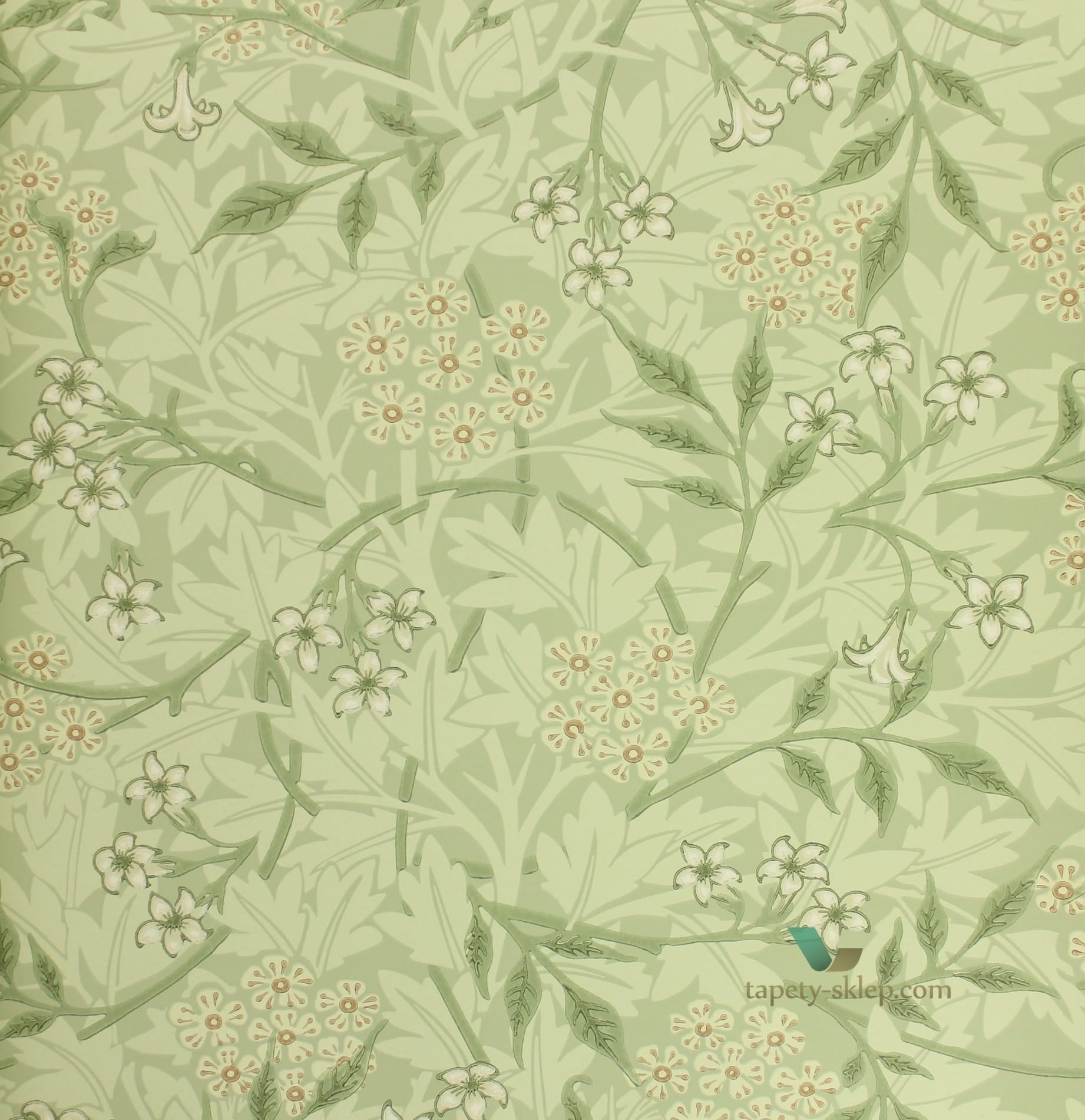 Tapeta Roślinne Pnącza William Morris 214722 Archive III