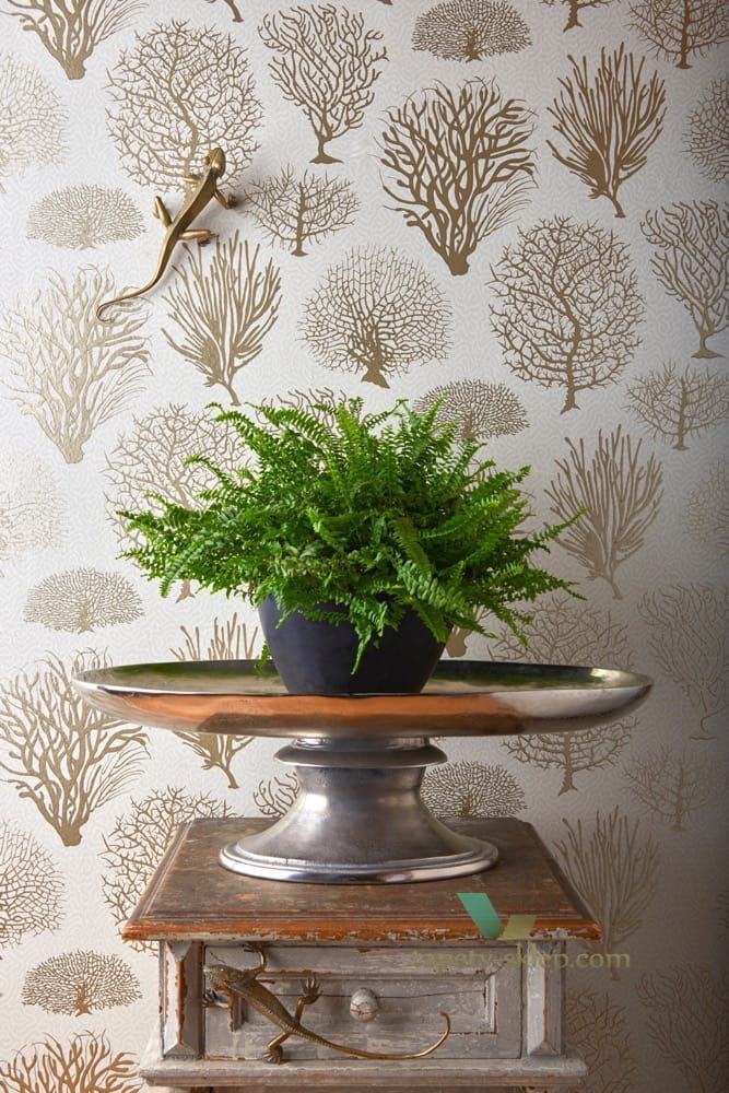 Tapeta Cole & Son 107/2008 Seafern Curio