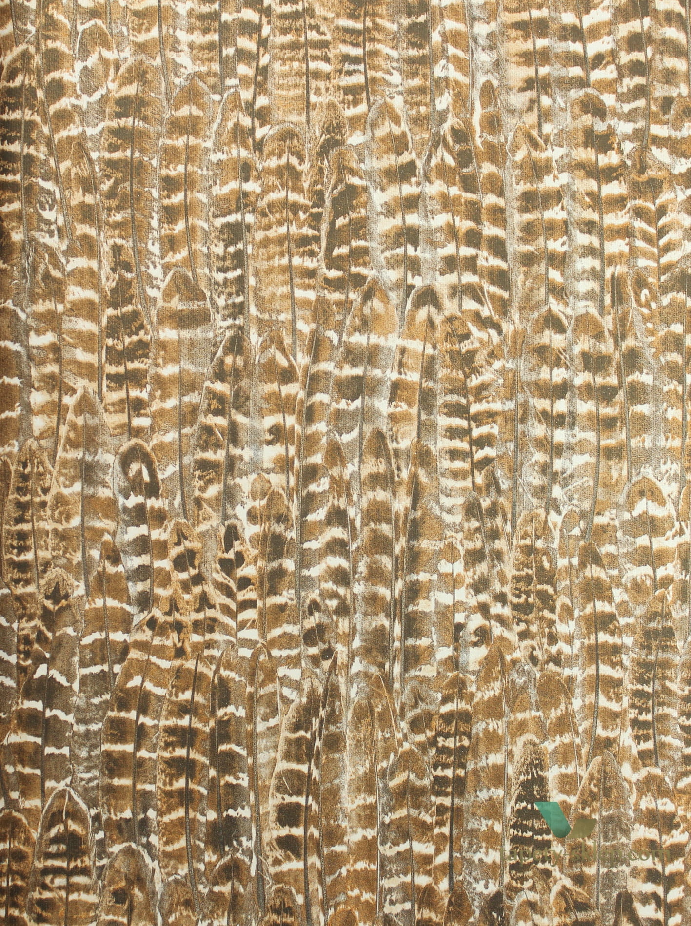 Tapeta Origin 347395 Identity