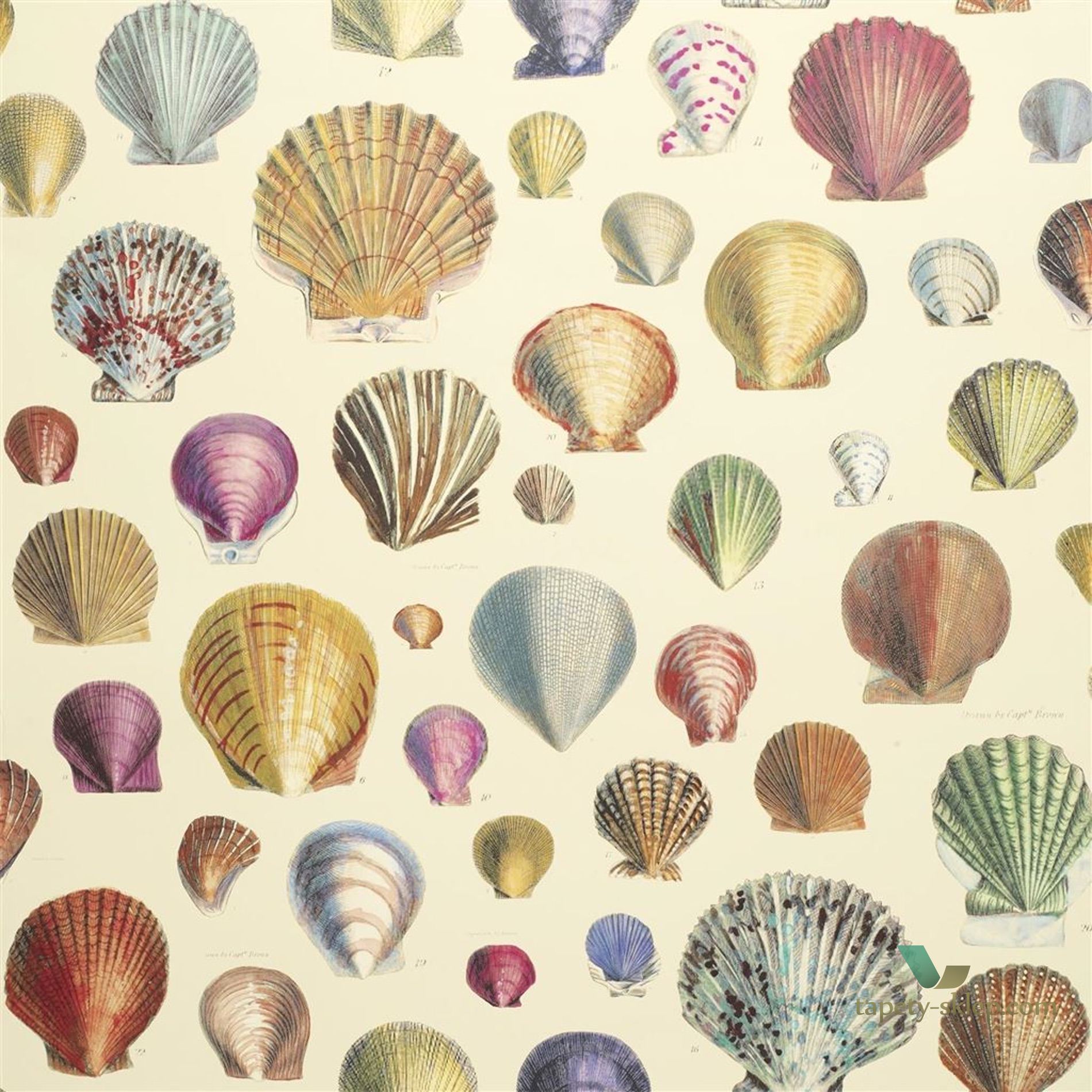 Tapeta John Derian PJD6000/01 Picture Book