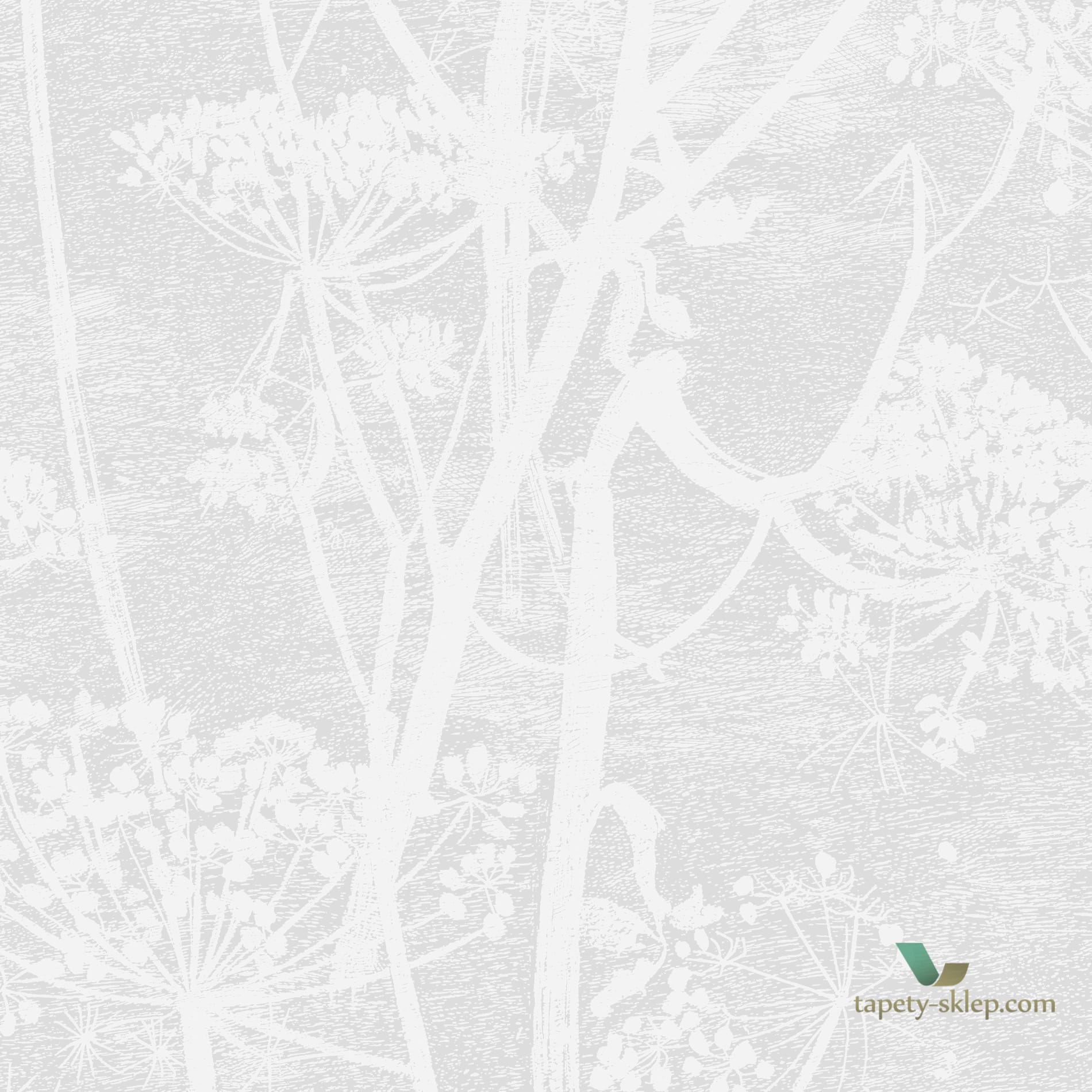 Tapeta Cole & Son Icons 112/8027 Cow Parsley