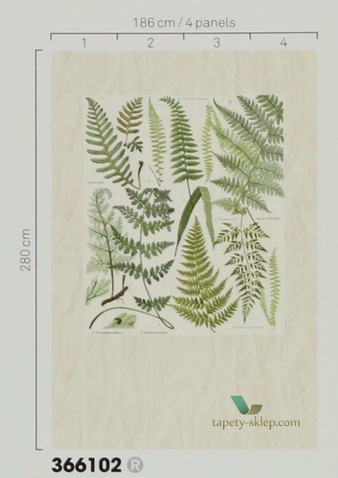 Mural Eijffinger 366102 Geonature