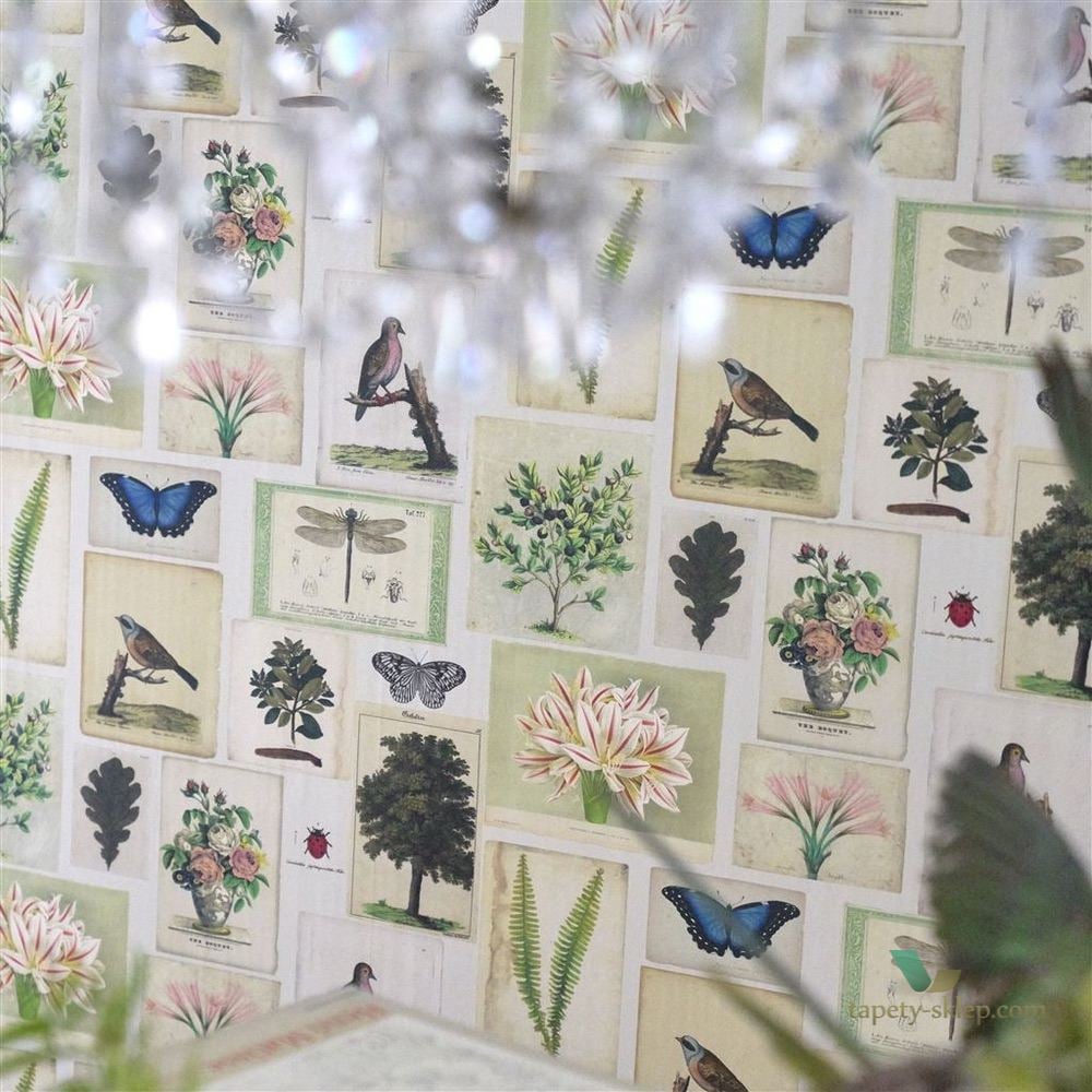 Tapeta John Derian PJD6001/02 Picture Book