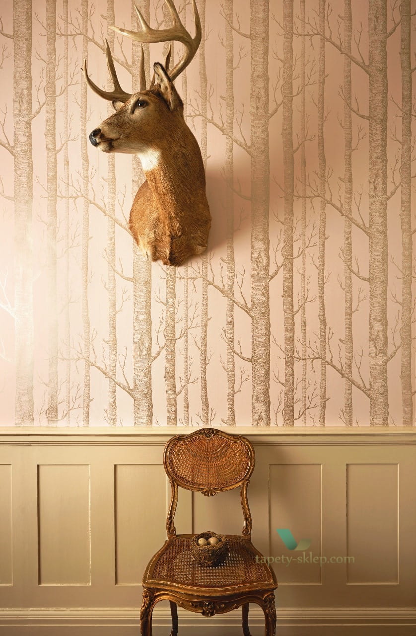 Tapeta Cole & Son 103/5024 Woods Whimsical