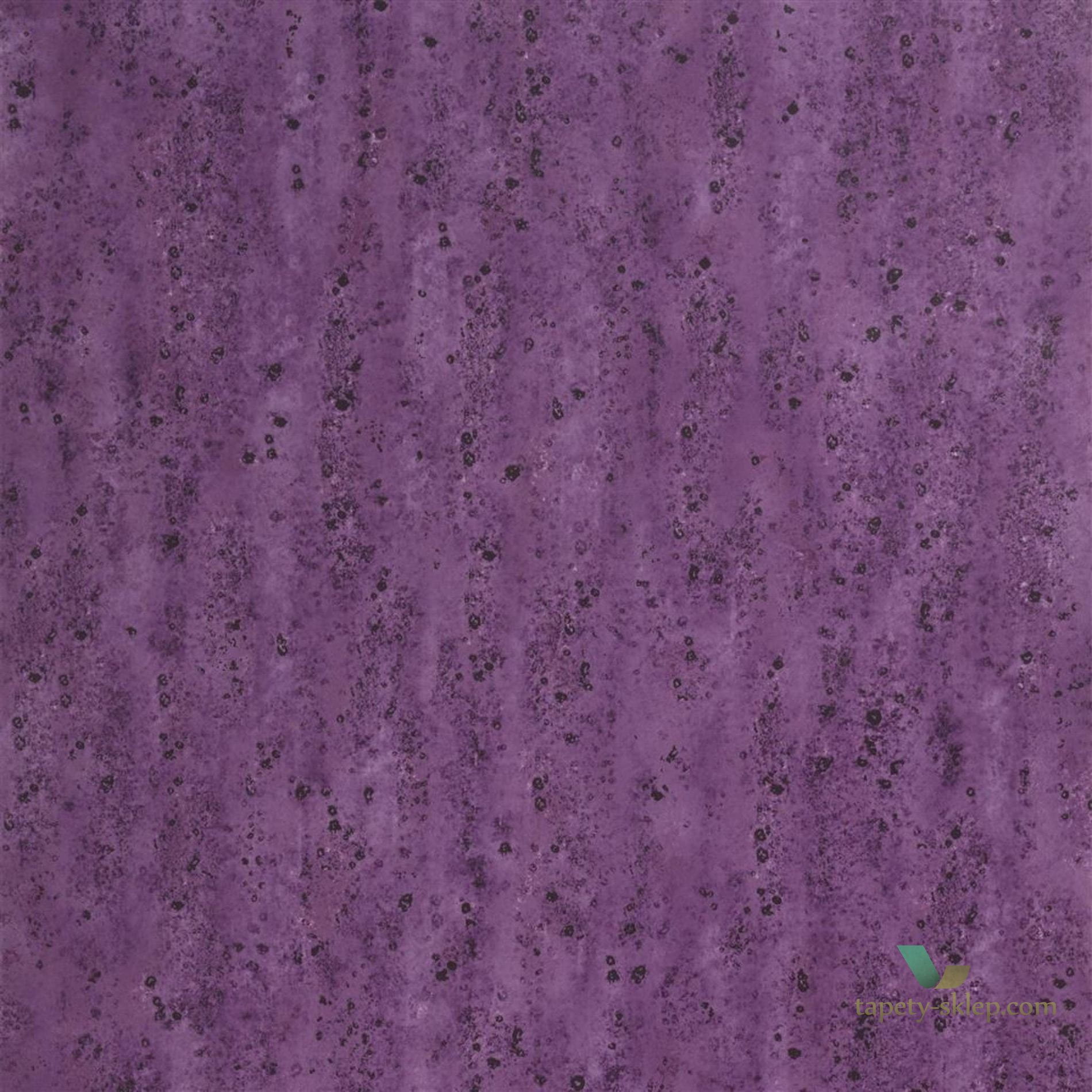 Tapeta Designers Guild PDG1063/10 Shirakawa Zardozi
