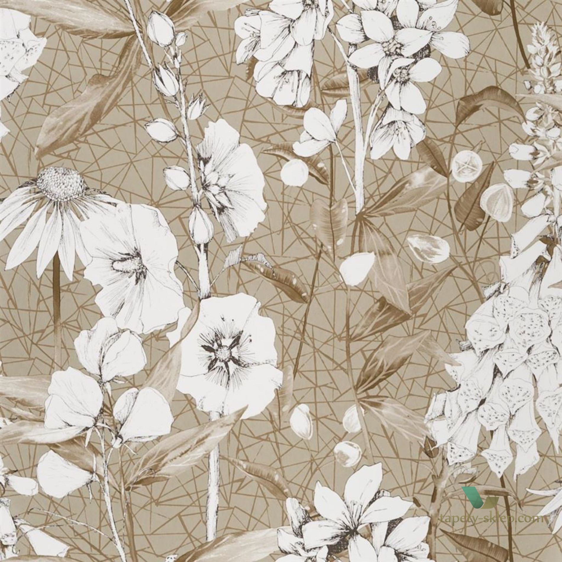 Tapeta Designers Guild PDG1050/05 Emilie Mandora
