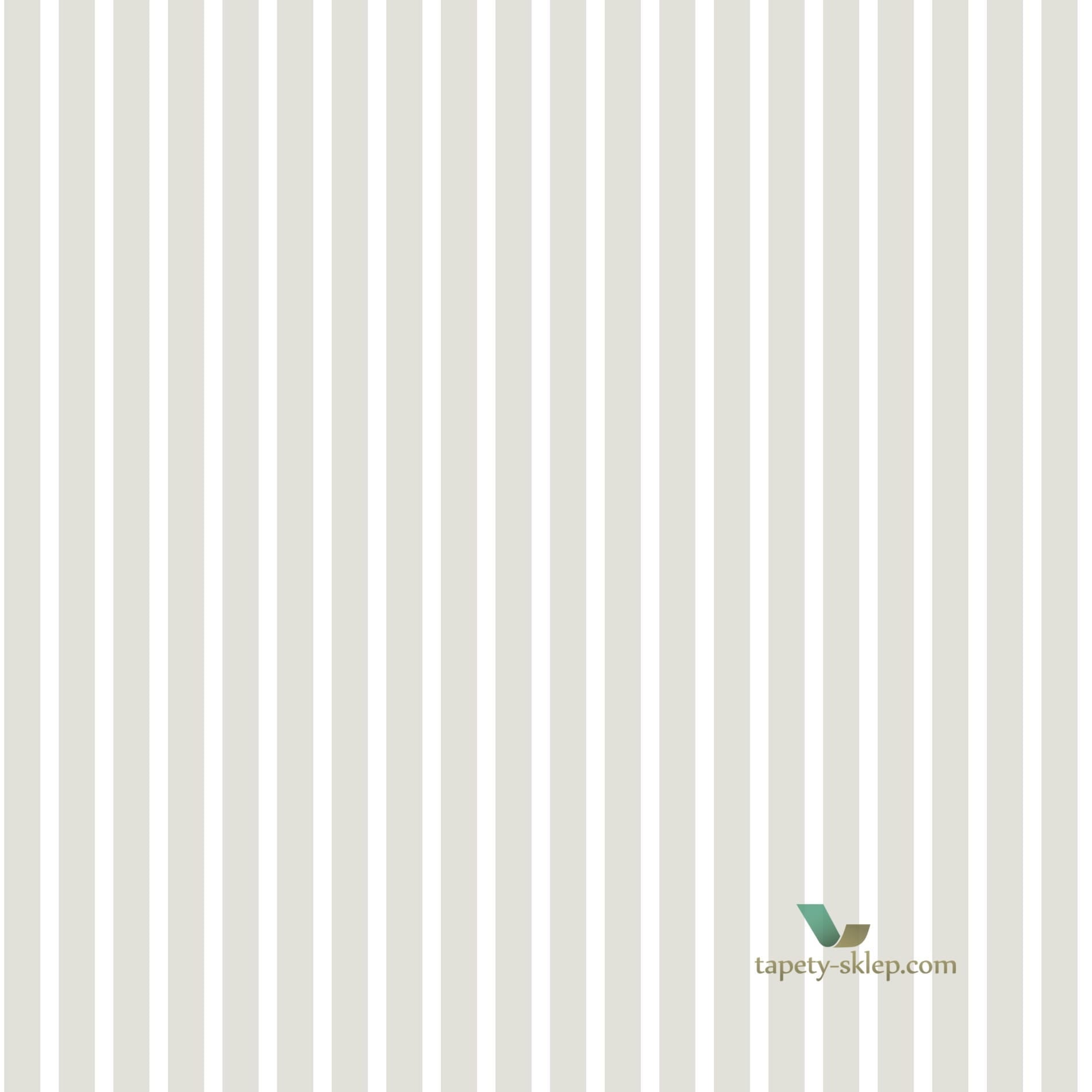 Tapeta Galeria G67542 Smart Stripes 2