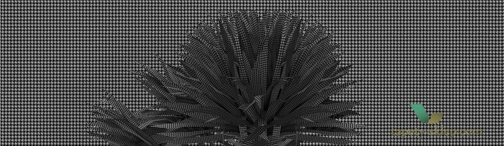 Fototapeta Wall&Deco Breeze WDBR1701 Contemporary 2017