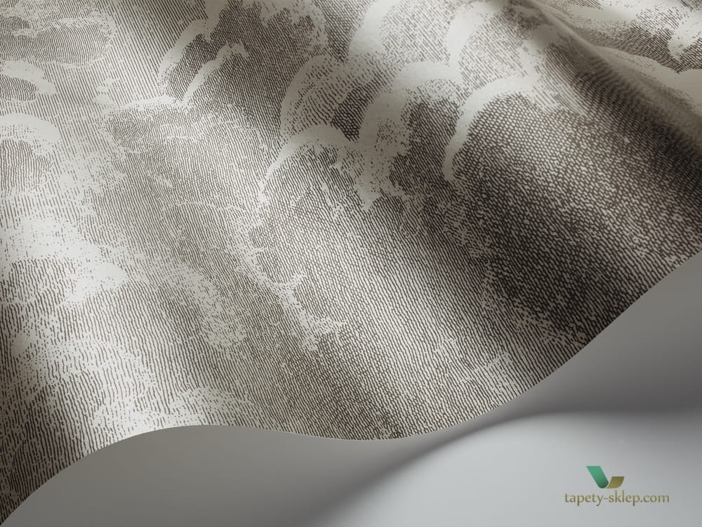 Tapeta W Chmury  Cole & Son Nuvolette 114/2004 Fornasetti cena za 2 rolki