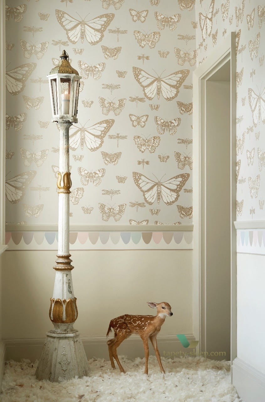 Border Cole & Son 103/8029 Scaramouche Whimsical