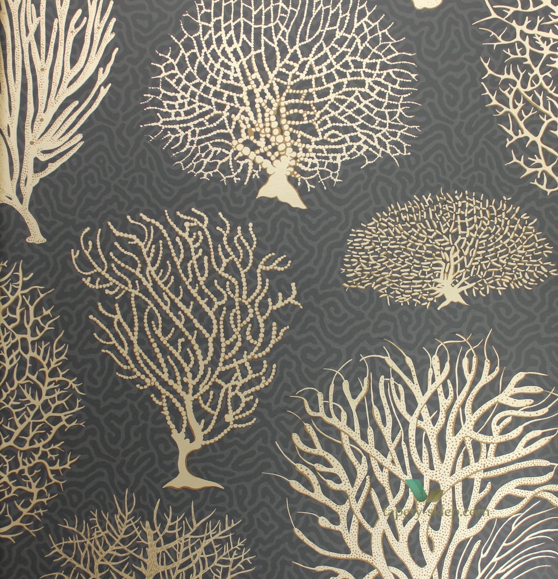 Tapeta Cole & Son 107/2006 Seafern Curio