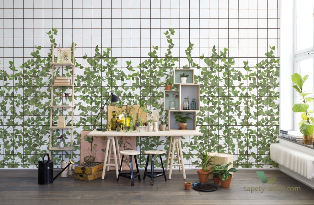 Fototapeta Rebel Walls R13993 Climbing Clorofyl
