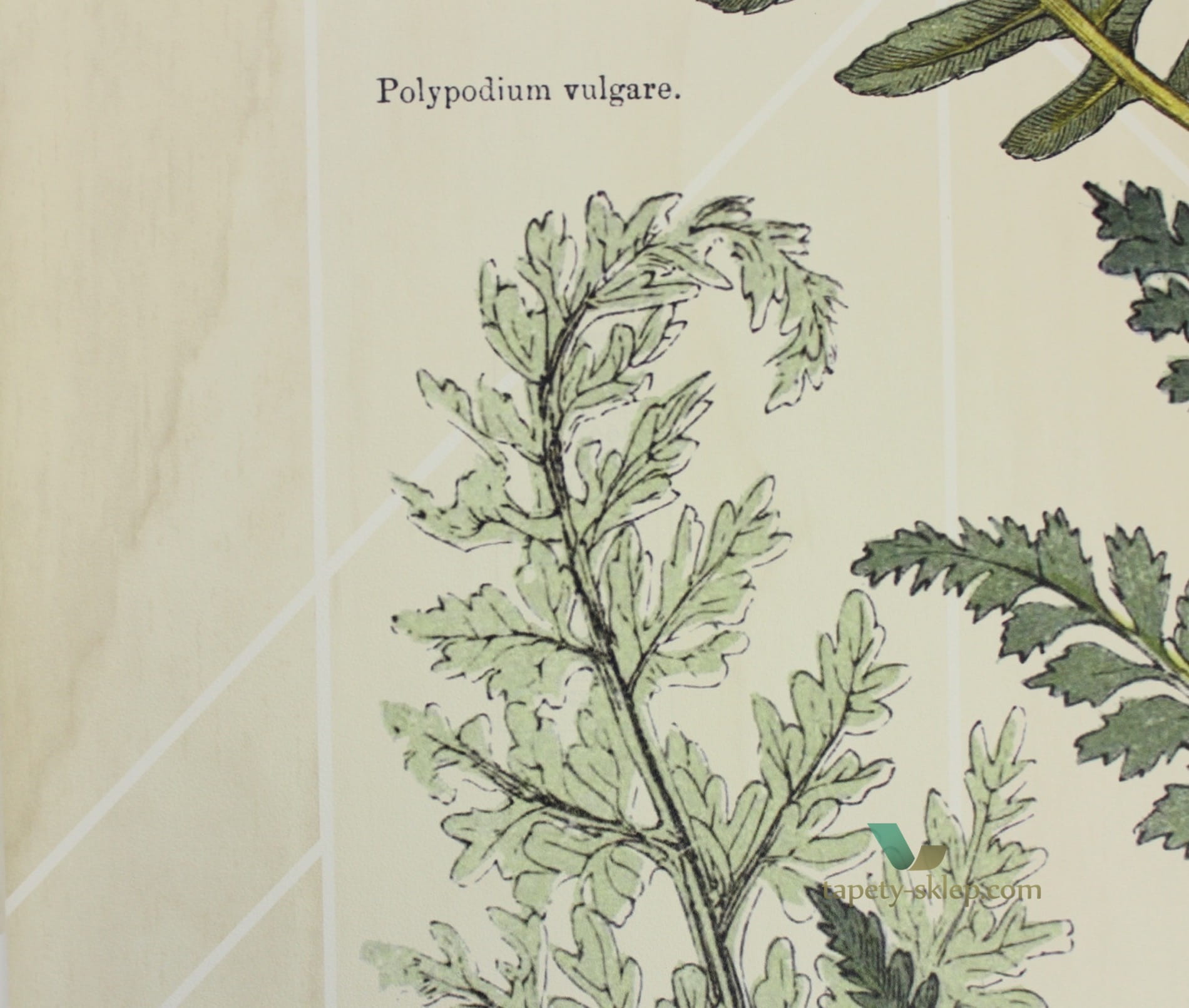 Mural Eijffinger 366102 Geonature