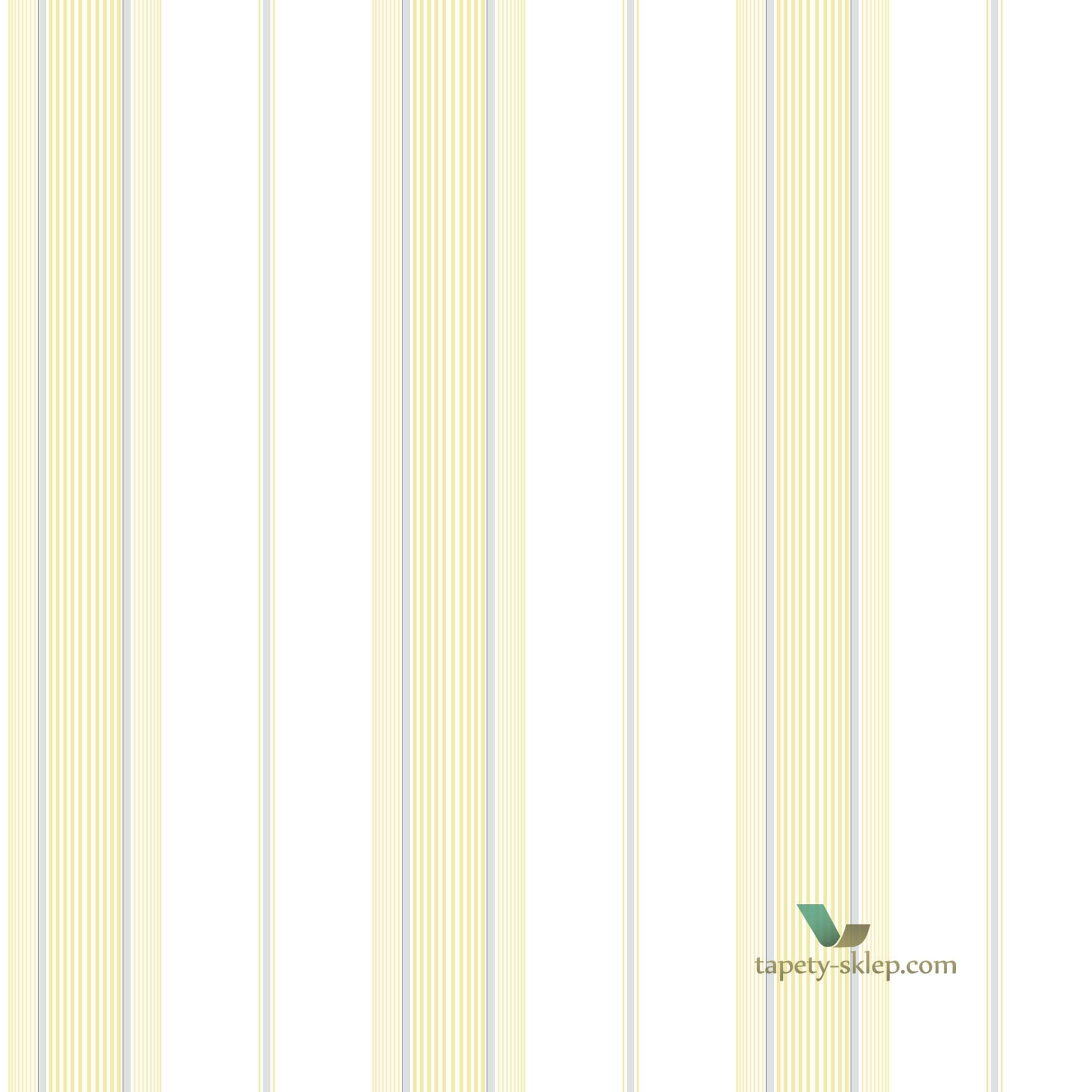Tapeta Galeria G67578 Smart Stripes 2