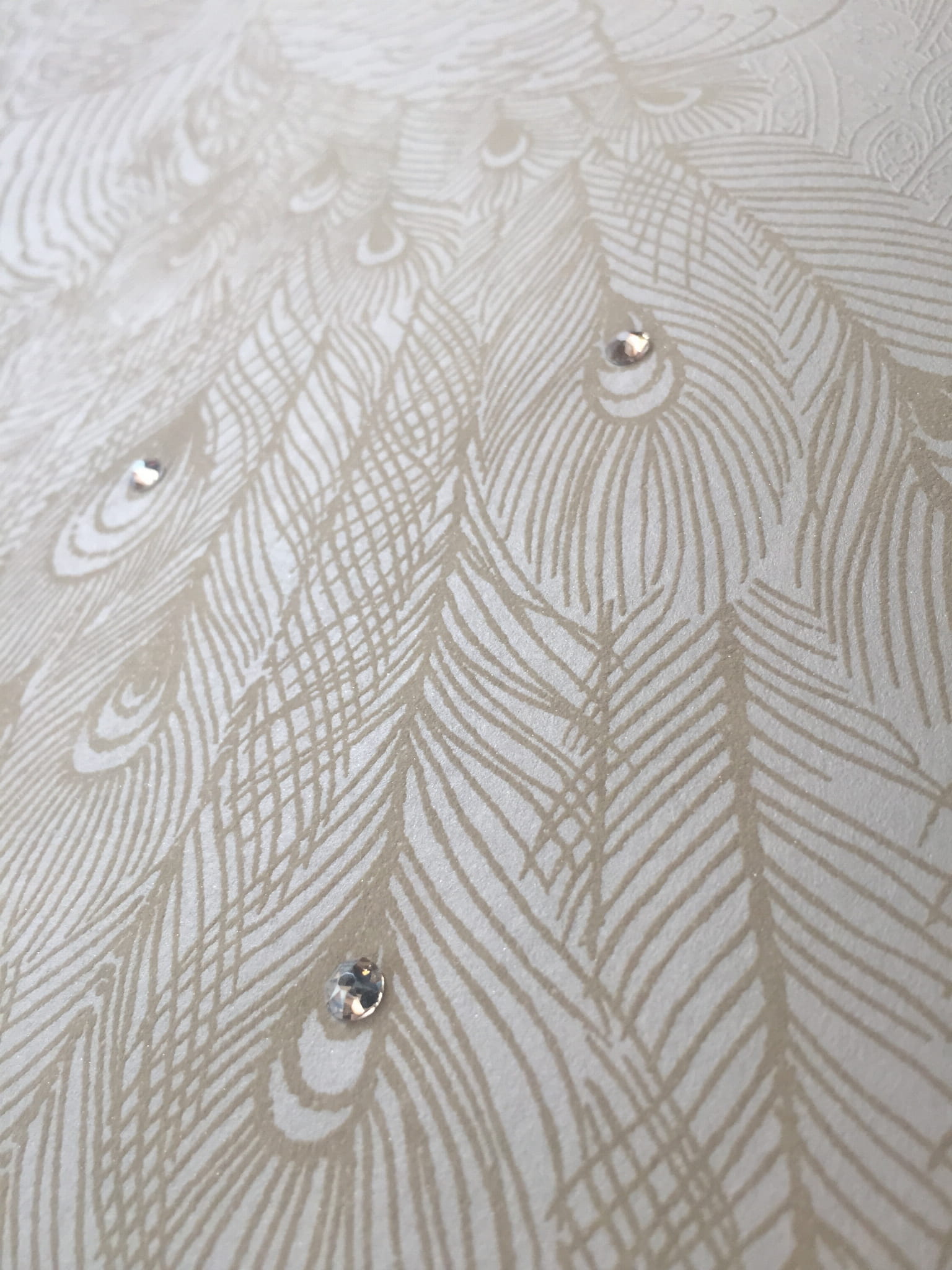 Tapeta Carl Robinson 11 Swarovski cr32703 Kashmir Capri