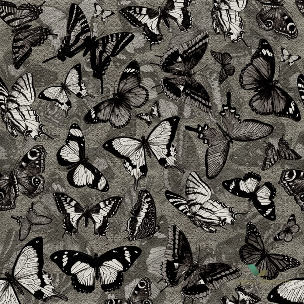 Fototapeta Wall&Deco Catch-me WDCM1502 Contemporary 15