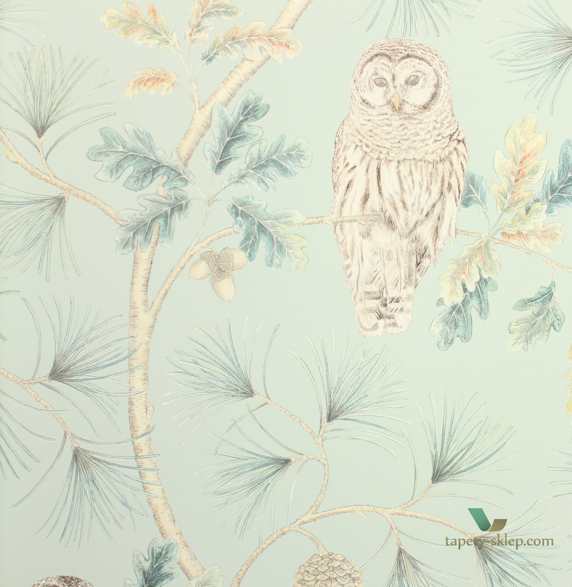 Tapeta sowy i drzewa Sanderson 216596 Owlswick Elysian