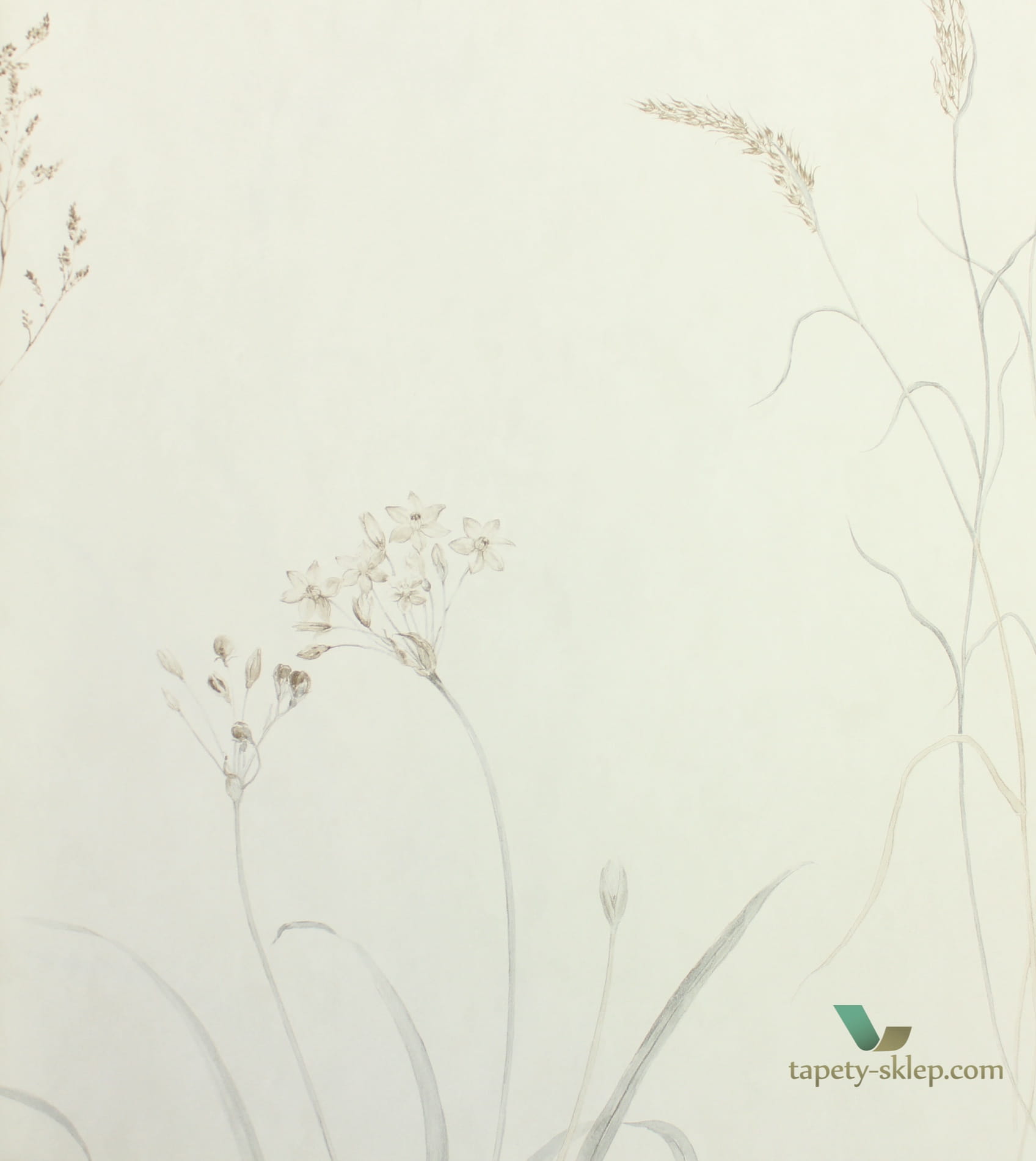 Tapeta łąka Sanderson 216487 Farne Grasses
