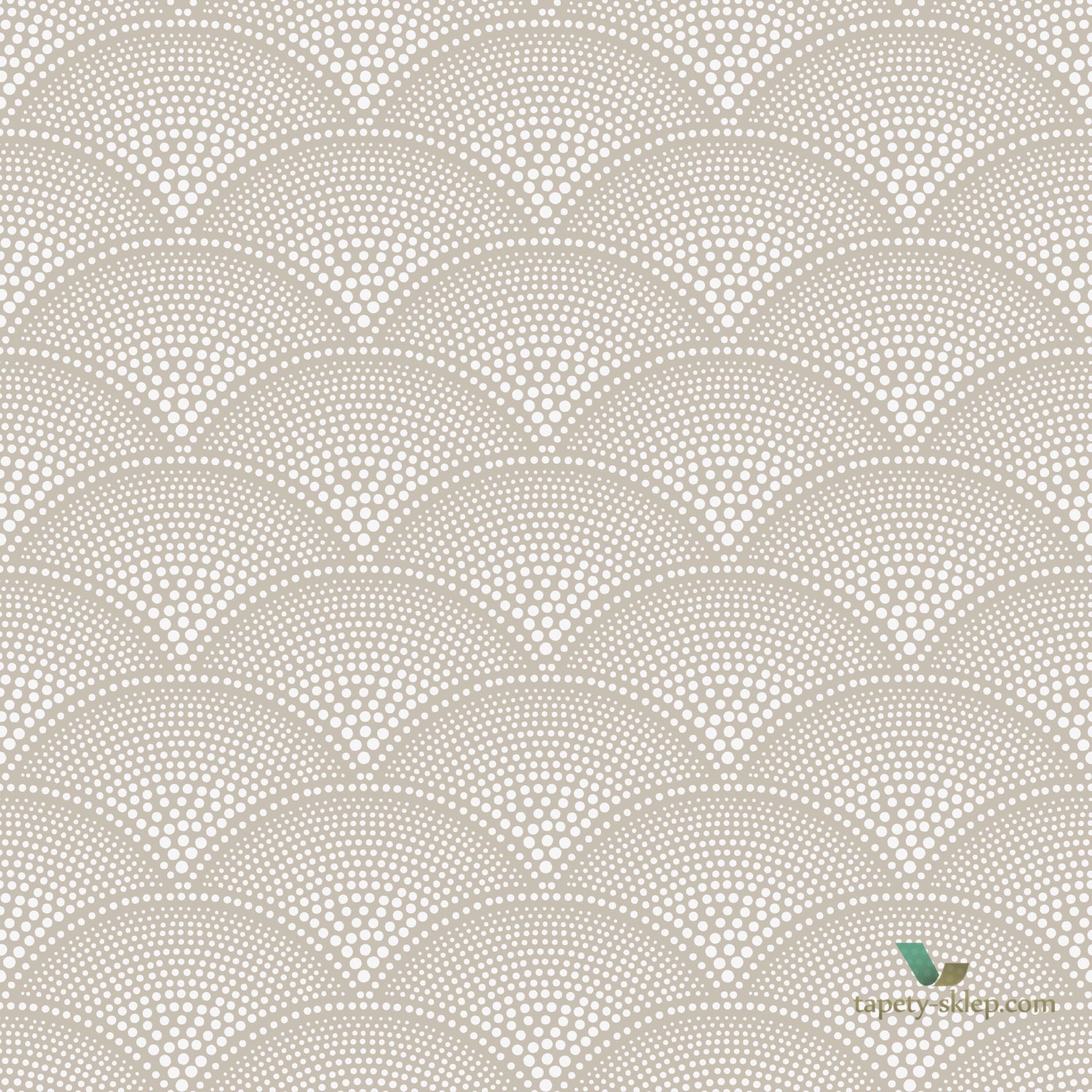 Tapeta Cole & Son Icons 112/10034 Feather Fan
