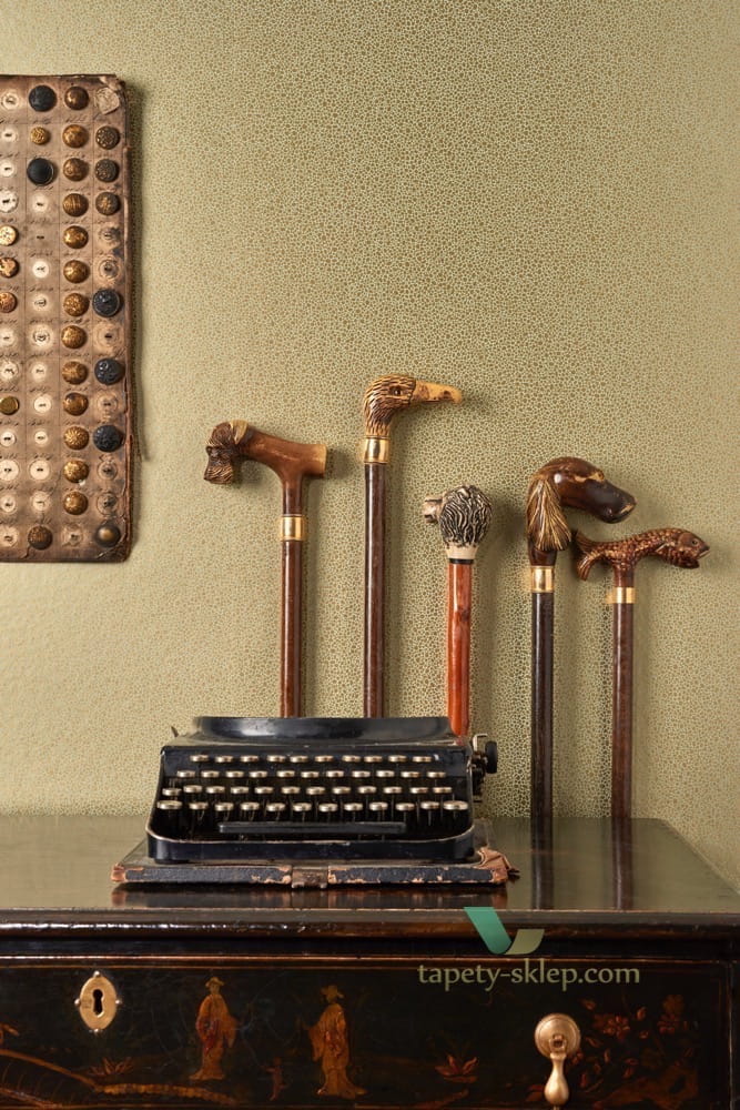 Tapeta Cole & Son 107/9043 Goldstone Curio