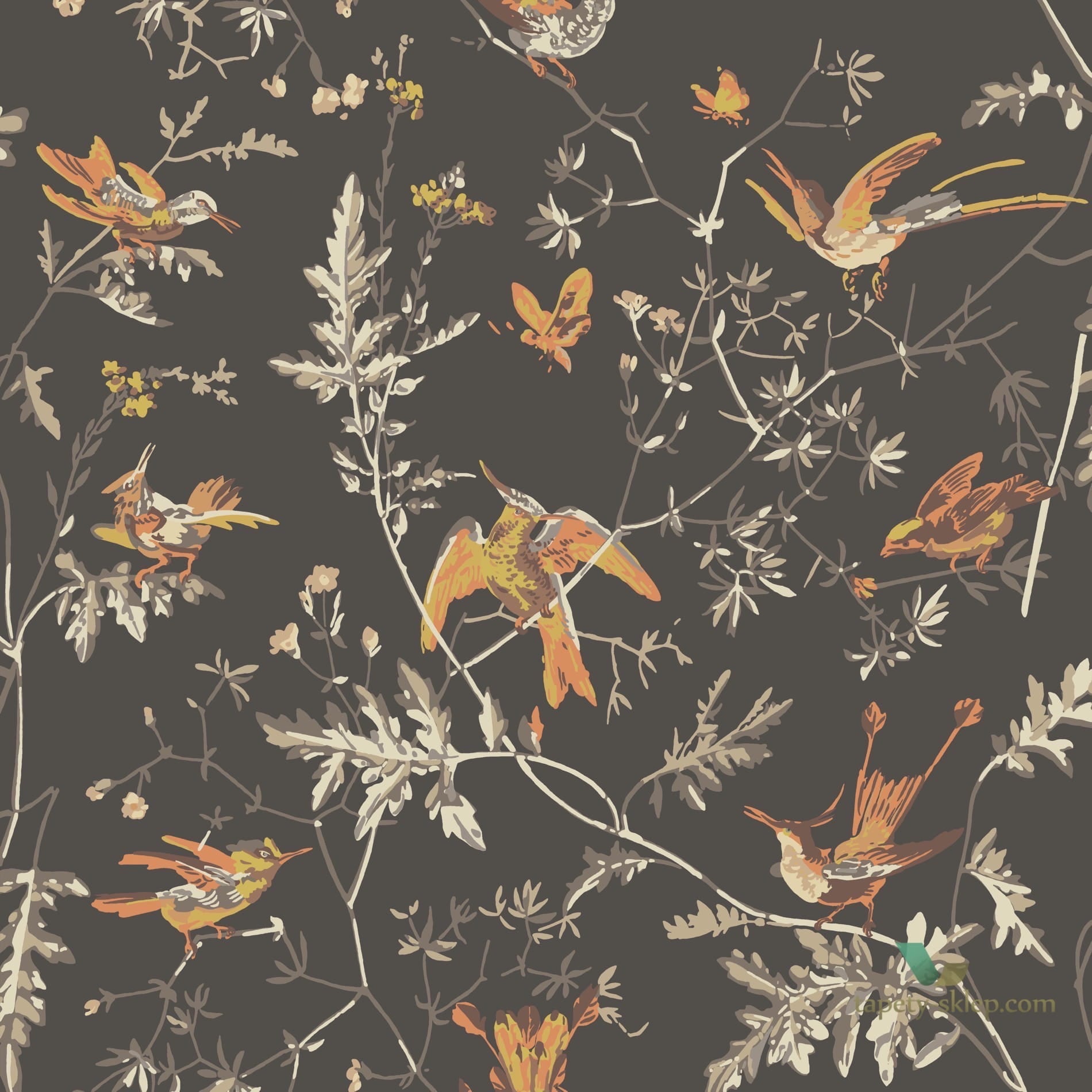 Tapeta Cole & Son Icons 112/4017 Hummingbirds