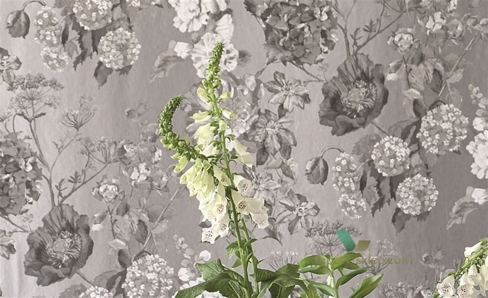 Tapeta Designers Guild P623/01 Alexandria