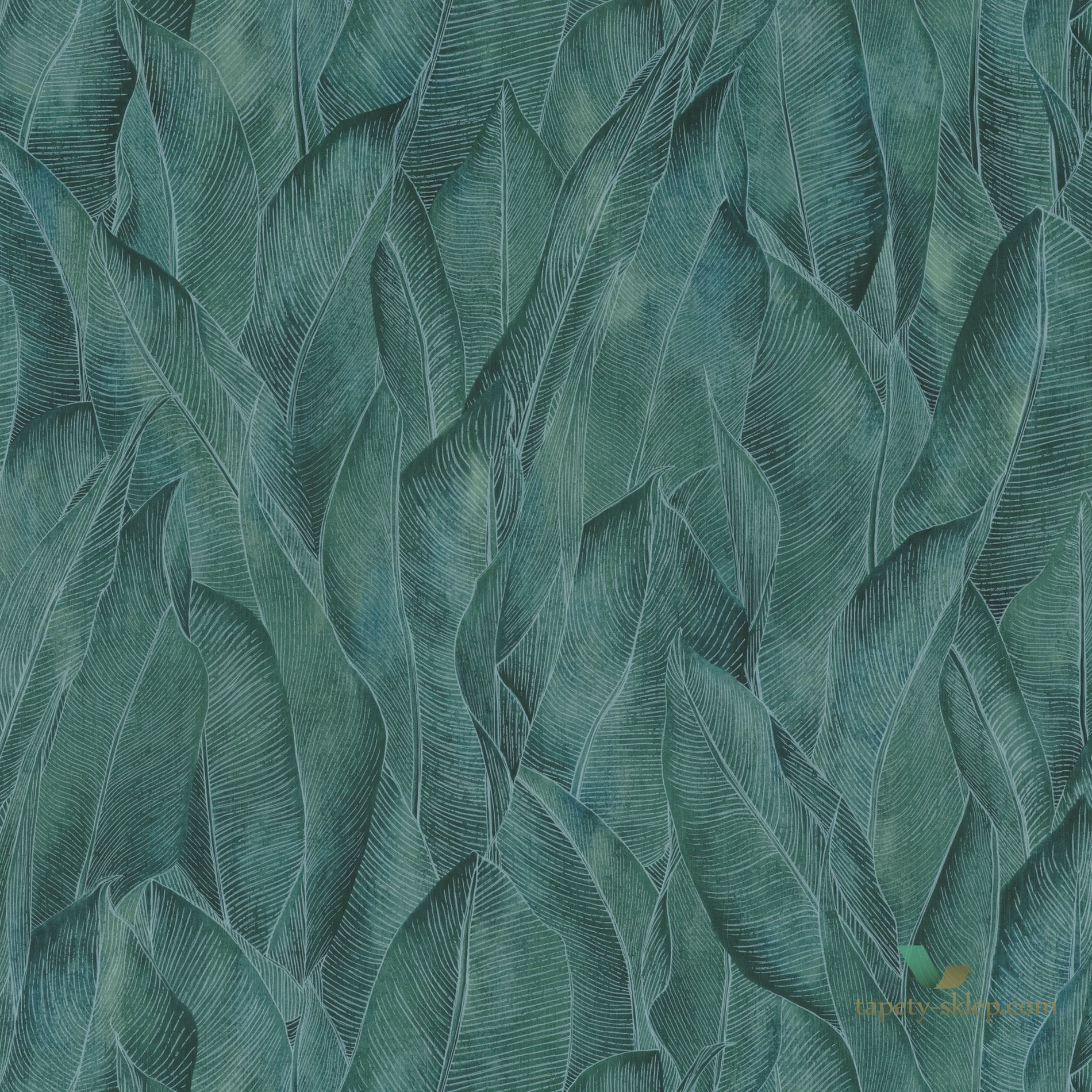 Tapeta liście bananowca Casamance 74280374 Amazone Rio Madeira