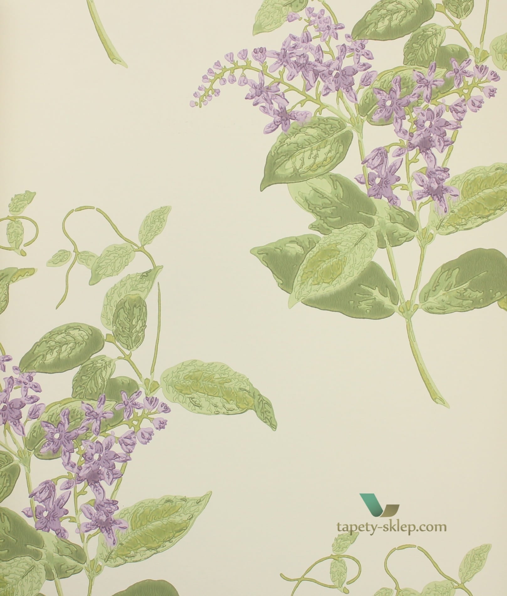 Tapeta 100/12056 Cole & Son Archive Anthology Madras Violet