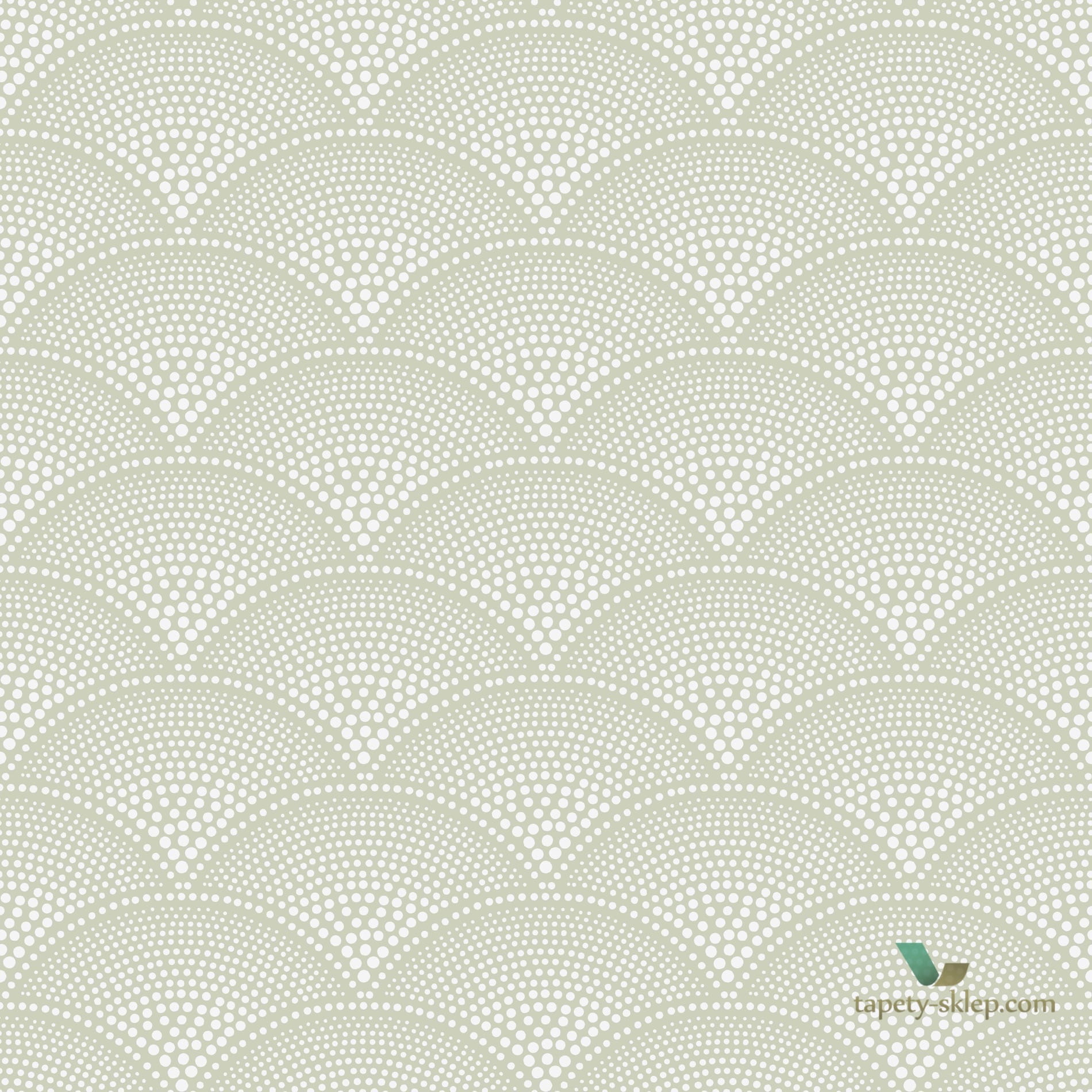 Tapeta Cole & Son Icons 112/10037 Feather Fan
