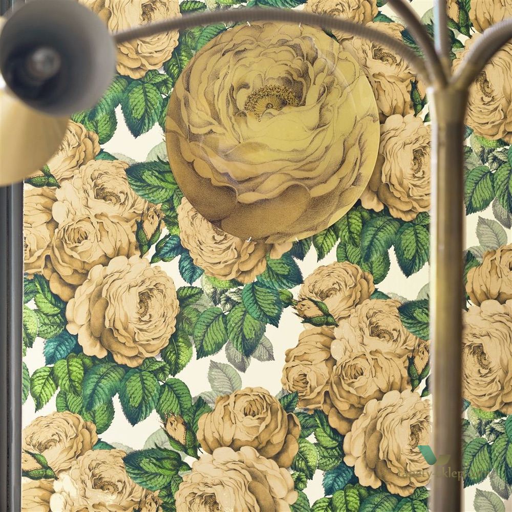 Tapeta John Derian PJD6002/02 Picture Book