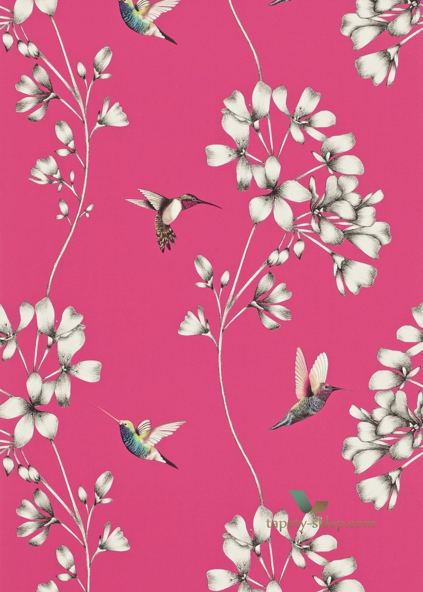 Tapeta Harlequin 111058 Amazilia