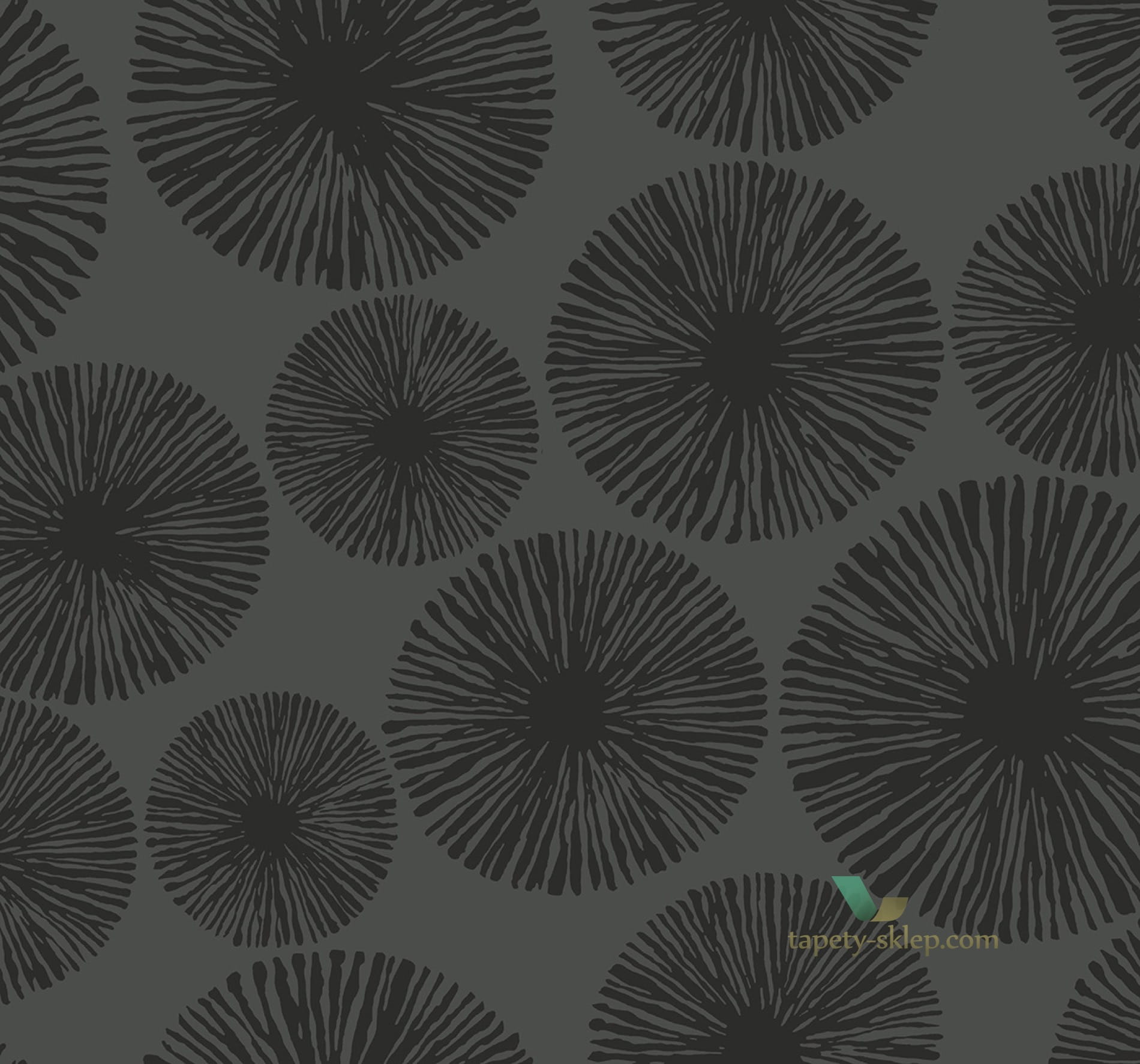 Tapeta BW22511 Black & White