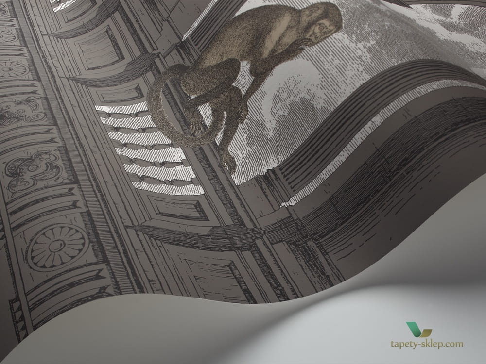 Tapeta Małpy I Architektura Cole & Son Procuratie con Vista 114/8016 Fornasetti