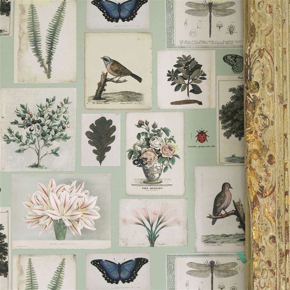 Tapeta John Derian PJD6001/02 Picture Book