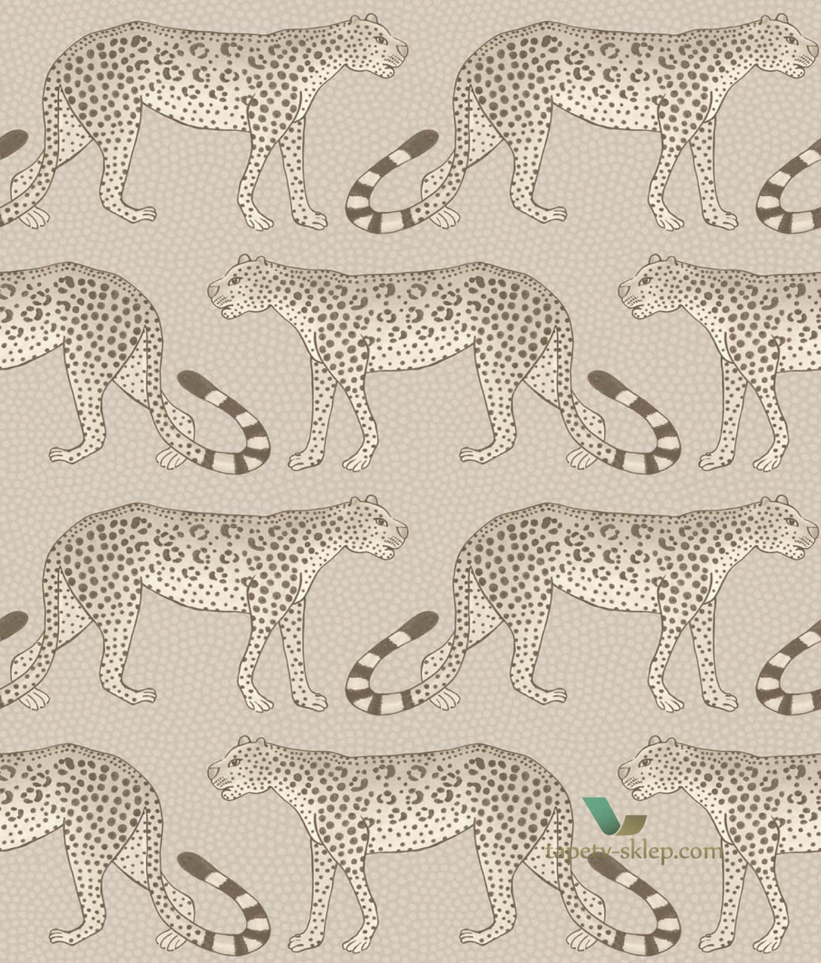 Tapeta Cole & Son 109/2012 Leopard Walk Ardmore