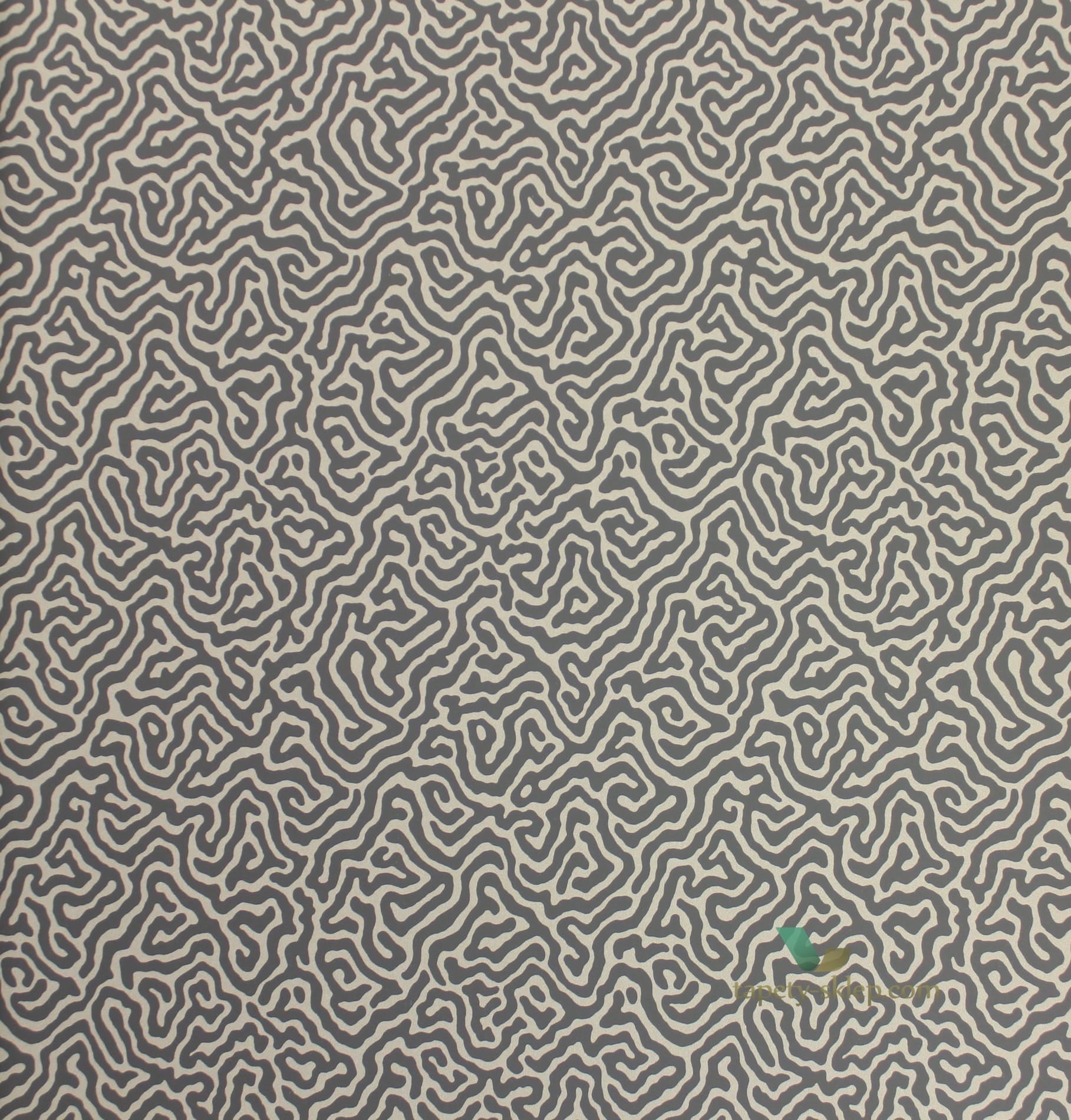 Tapeta Cole & Son 107/4017 Vermicelli Curio