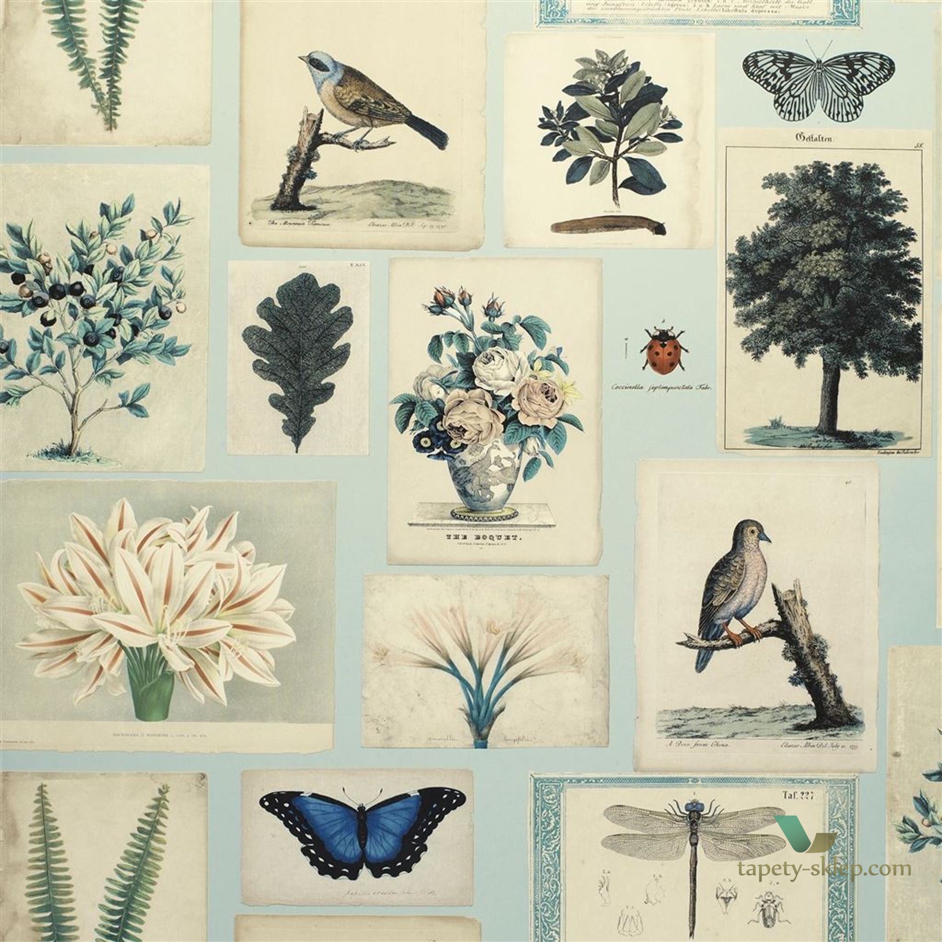 Tapeta John Derian PJD6001/02 Picture Book